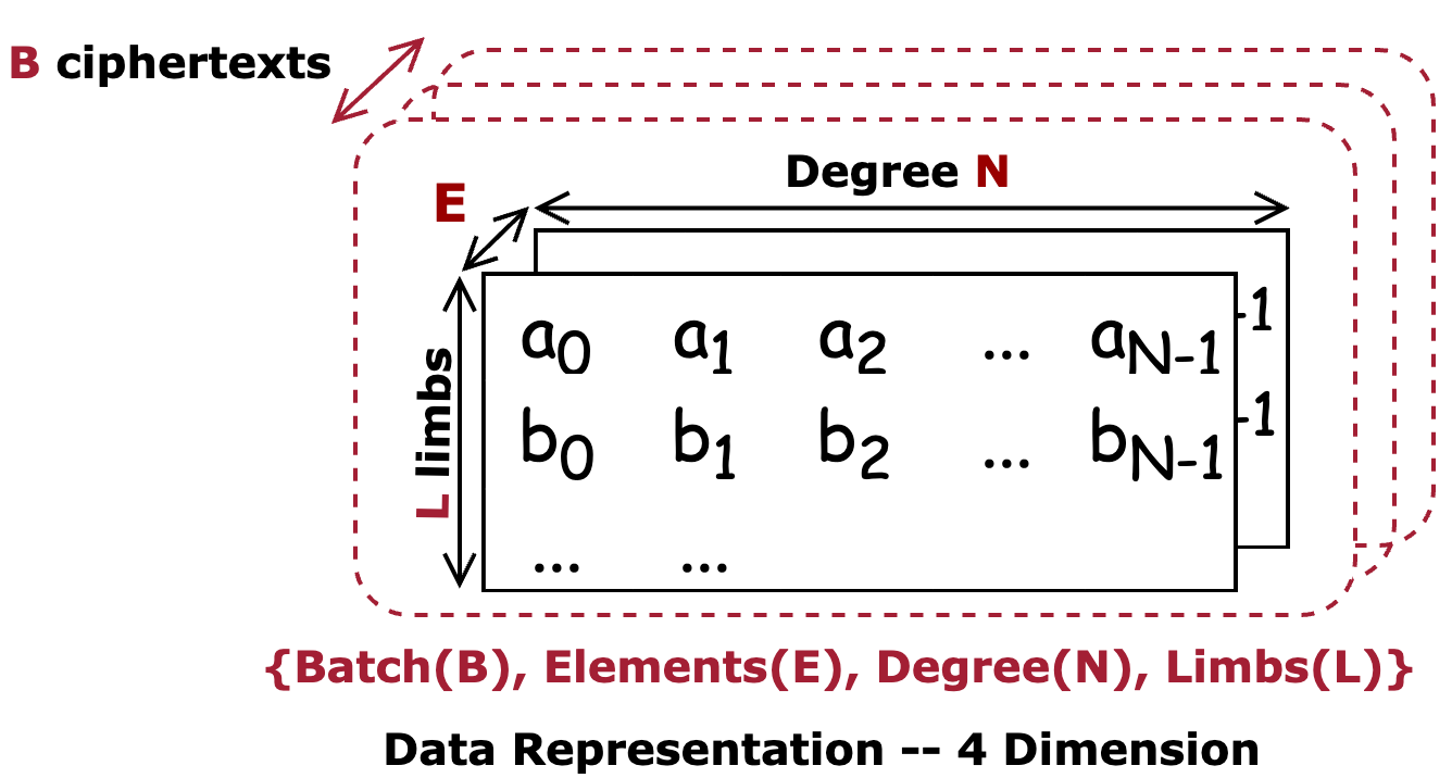 4D Tensor Representation