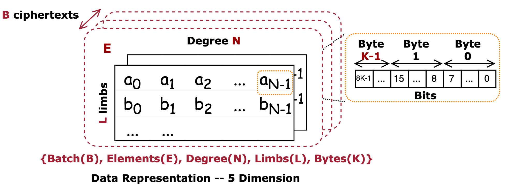 5D Tensor Representation